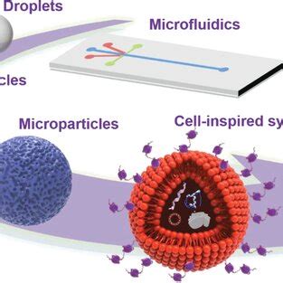 Construction Of Artificial Cells From Simple Droplets To Sophisticated