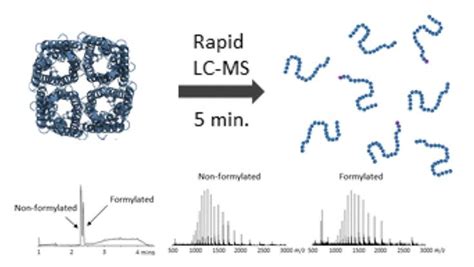 Relative And Accurate Molecular Weight Determination Methods Creative