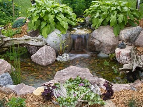 pond depth   pond types