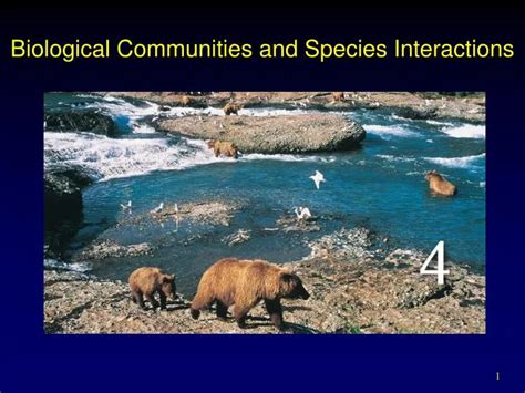 Ppt Biological Communities And Species Interactions Powerpoint