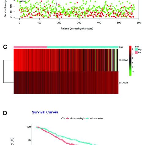 Risk Score Analysis Of The Two Gene Prognostic Model In The Gse39582