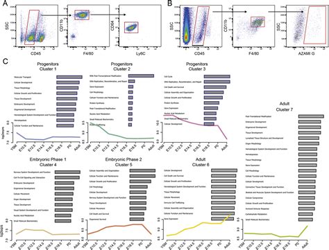 Microbiome Influences Prenatal And Adult Microglia In A Sex Specific Manner Cell