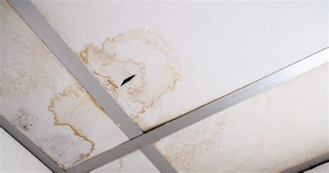 Signs Of Roof Leaking That You Should Pay Attention To - Roof Repair ...