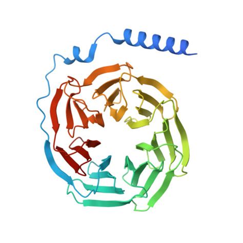 Rcsb Pdb Iq Cryo Em Structure Of Latanoprost Bound Prostaglandin