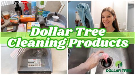 TESTING DOLLAR TREE CLEANING PRODUCTS FALL 2023 YouTube