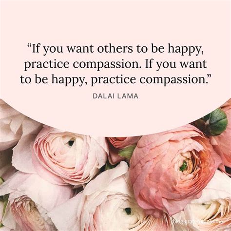 60+ Compassion Quotes to Make This World a Kinder Place