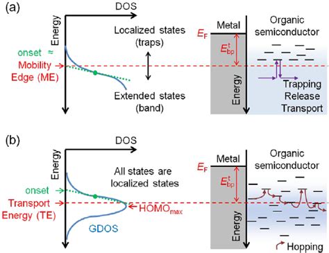 Schematic Diagrams For The Density Of States And Hole Transport