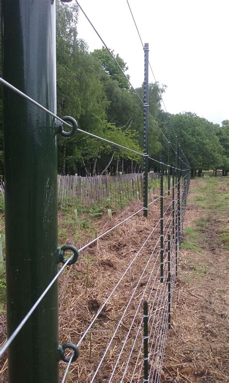 Deer Fencing Jb Corrie Fencing