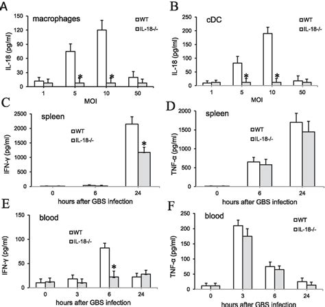 Effect Of Lack Of Il 18 On Cytokines Production During Gbs Infection