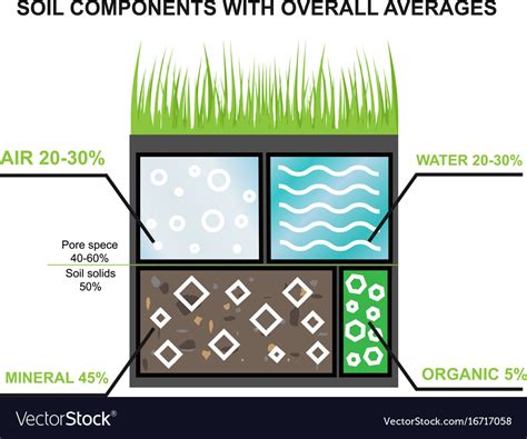 Composition Soil Components Earth Royalty Free Vector Image