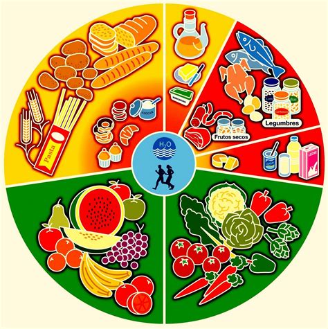 Juegos De Ciencias Juego De A Roda Dos Alimentos Cerebriti