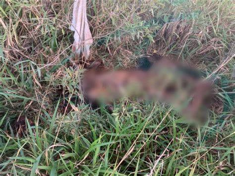 Homem Que Estava Sumido é Encontrado Morto Em Fazenda Interior