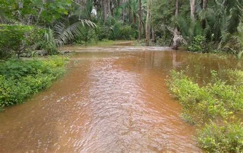 Barragem Do Mocambo Em José De Freitas Transborda E Alaga Estradas