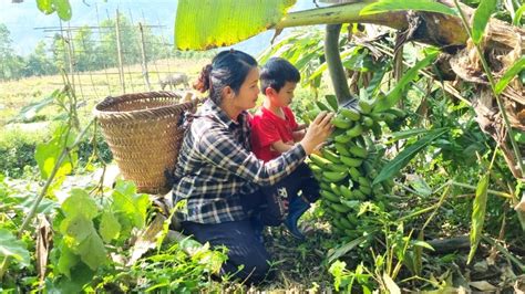 The Mother And Daughter Picked Bananas And Brought Them To The Market