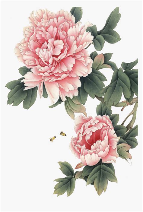 Peony Chinese Painting Png, Transparent Png - kindpng