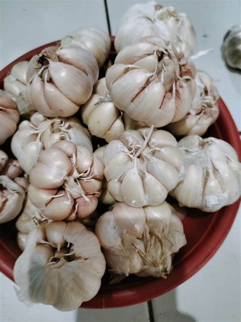 BAWANG PUTIH 1KG BERSIH KOTOR Lazada Indonesia