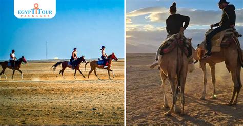 Unique things to do in Makadi Bay | Egypt Tour Packages
