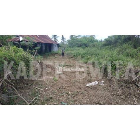 Dijual Tanah Are Los Sungai Lodtunduh Ubud Harga Nego Di Gianyar