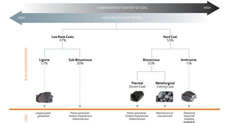 The “buried sunshine”—the coalification process and coal types