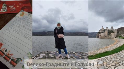 Путешествие в Велико-Градиште и Голубац. Селедка из Венгрии. Письмо ...