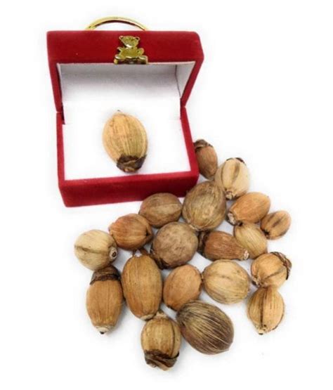 Apna Rudraksha Pure And Natural Laghu Nariyal Small Pooja Item Set