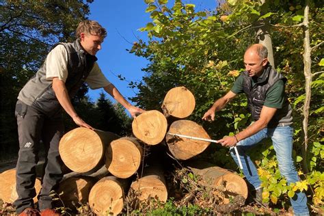 Sagen Solidarit T Feat Langholz Spalten Nach Dem Gesetz