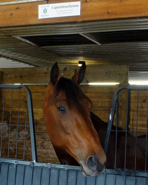 Fans are shocked by the meadowlands results today at the track