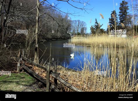 Stony Brook Creek Long Island New York Stock Photo Alamy