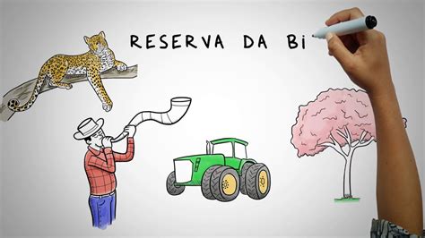 Introduzir 88 Imagem Desenhos Da Biosfera Vn