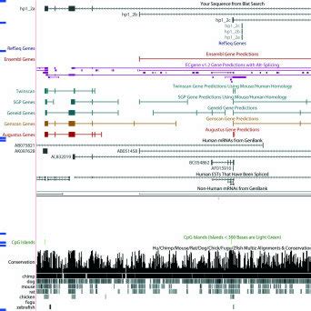 Modeling Of Gene Structures Screen Shot Of The Ucsc Genome Browser