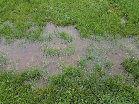 Is Your Yard Flooding Here S How To Fix It TrustDALE