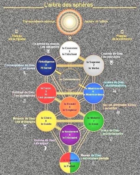 ARBRE DES SPHÈRES LArbre de Vie représente symboliquement dans la