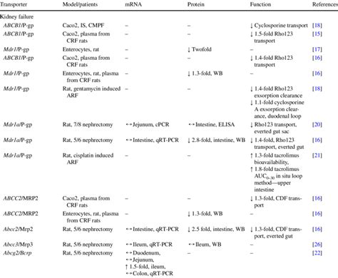 Summary Of Drug Transporter Studies In Pathological States Download