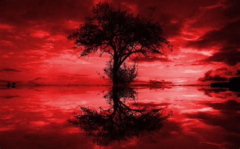 Red And Black Tree Wallpapers Top Free Red And Black Tree Backgrounds