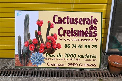 La Cactuseraie De Creismeas Le Jardinoblog