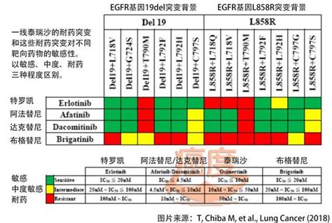 如何處理一線奧希替尼治療的耐藥突變？ 每日頭條