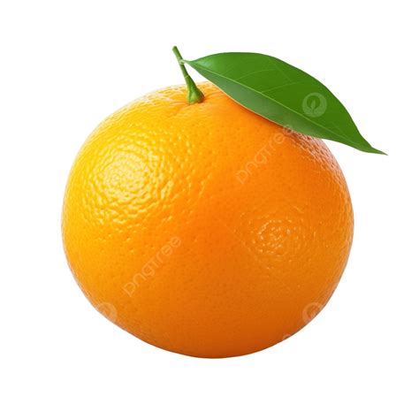 Orange Fruit Isolated Stock Photo Citrus Orange Fruit Png