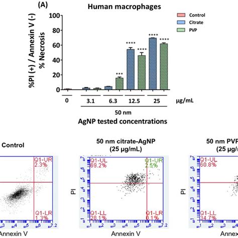 TEM Images Of Differentiated THP 1 Cells Non Treated Control A1 And