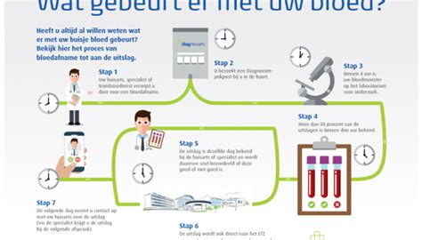 Wat Gebeurt Er Met Uw Bloed Diagnovum