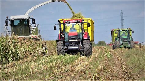 Kukurydza na Kiszonkę z Firmą Nowak 2xCase John Deere Claas YouTube