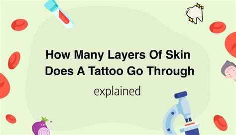 How Many Layers Of Skin Does A Tattoo Go Through