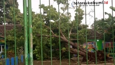 Pohon Tumbang Timpa Bangunan Sekolah Tk Di Nagrak Sukabumi