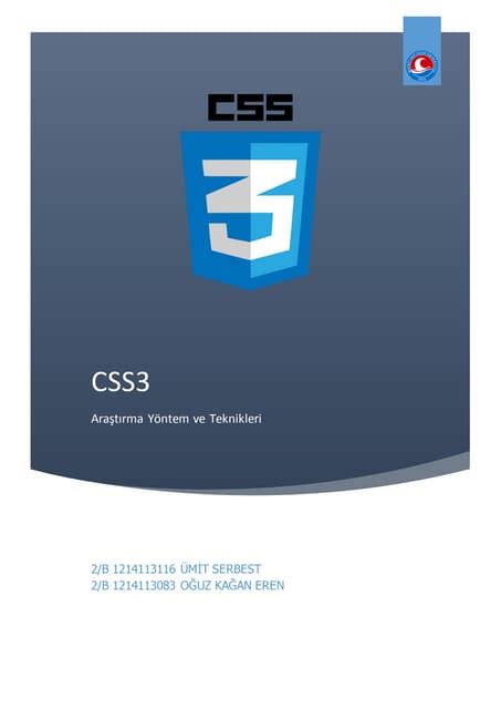 Css3 | PDF