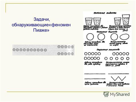 Теория Пиаже Кратко - studiostopik