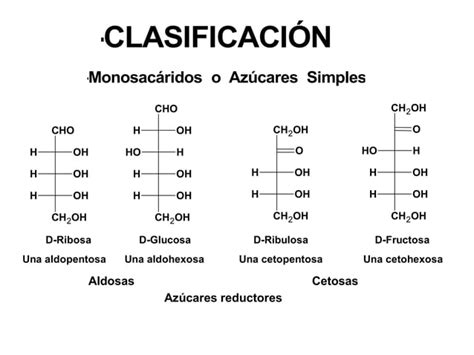 Introducción a la Bioquímica de Carbohidratos pptx