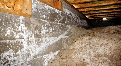 Rethinking Crawl Space Cleaning In