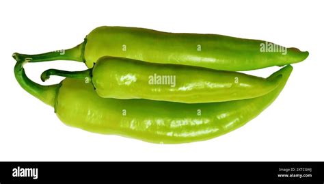 Green Chili Pepper Hot And Natural Shaped Organic Green Fresh Peppers Natural Chilies Are