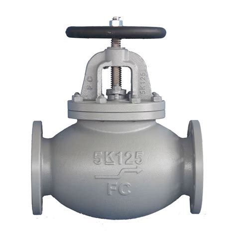 Globe Valve SDSL