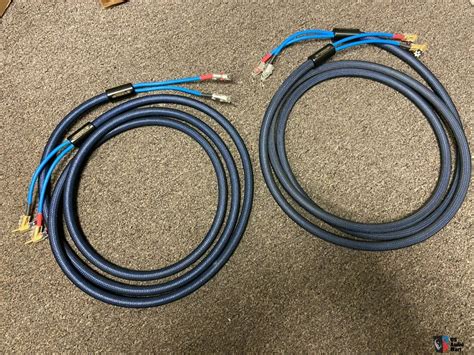 Siltech Cables Ls Classic G Mk Speaker Cables For Sale Canuck