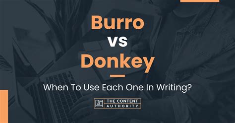 Burro vs Donkey: When To Use Each One In Writing?